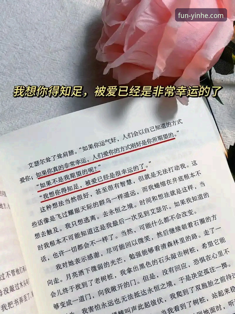揭秘2026最新版本：银河娱乐是什么？深度技术评测背后的真相